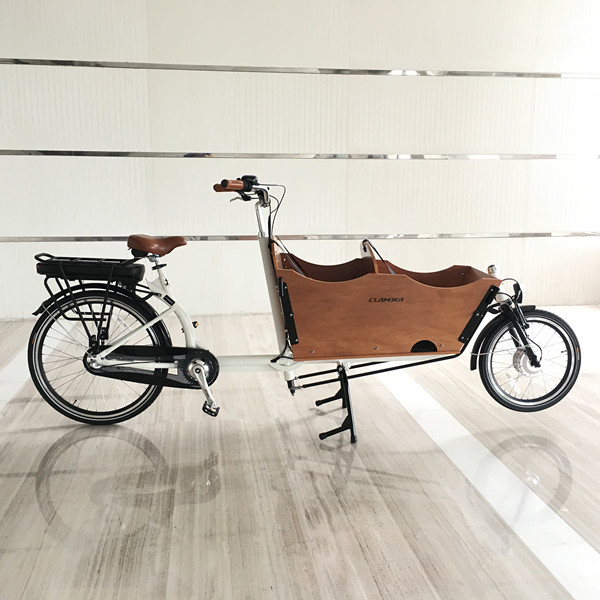 Electric tricycle cargo bike for adult trike