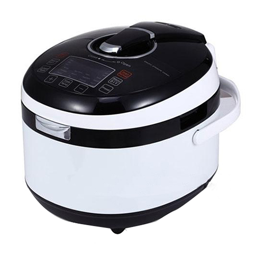 Fs501a pressure cooker