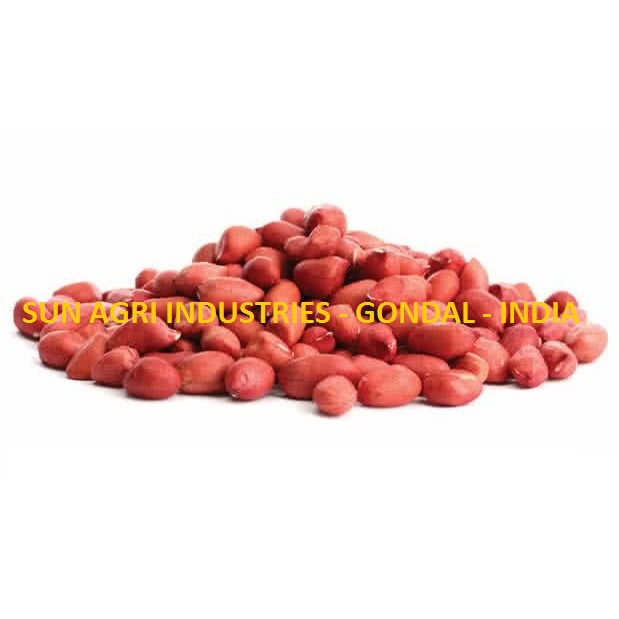 Groundnut_5