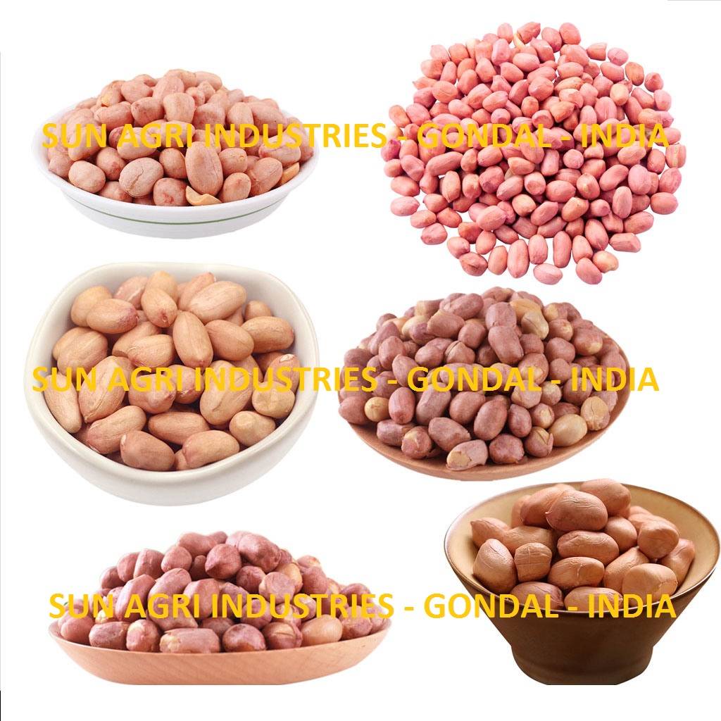 Groundnut_3