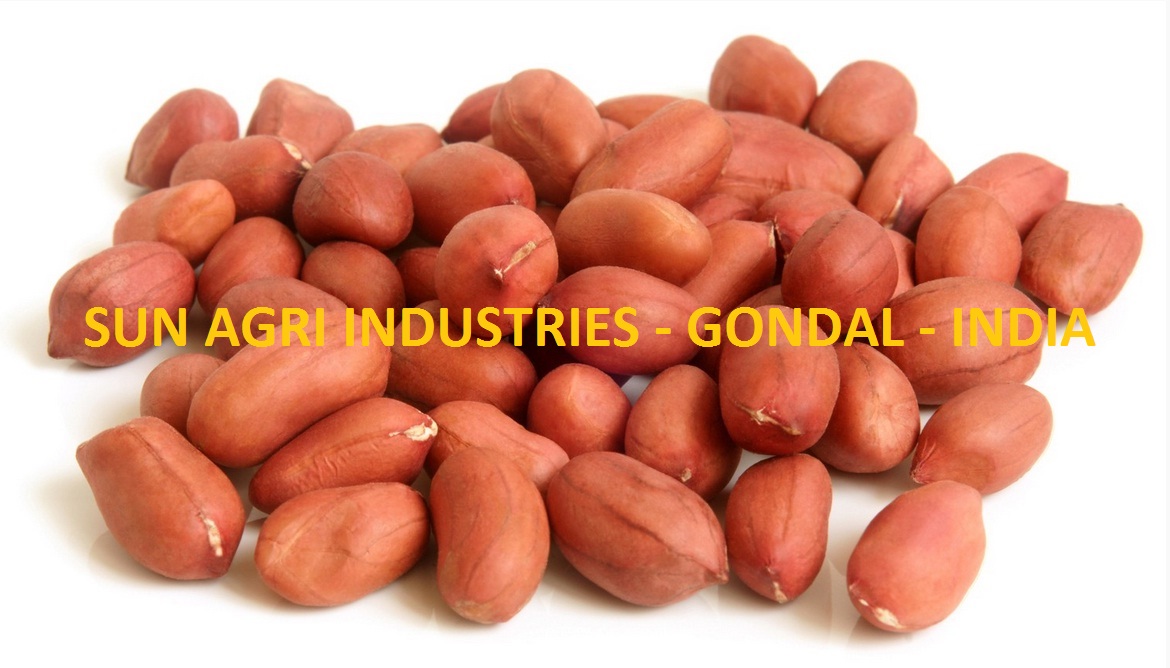 Groundnut_4