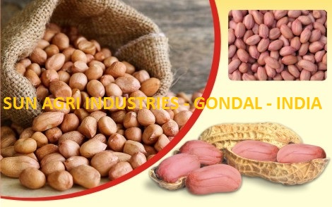 Groundnut_2