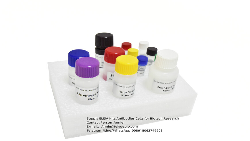High-sensitivity elisa kits for lab research