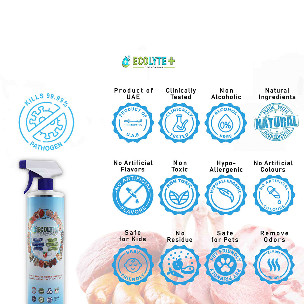 Ecolyte Meat & Seafood Disinfectant 100% Natural 500 ml X 24PCS_4