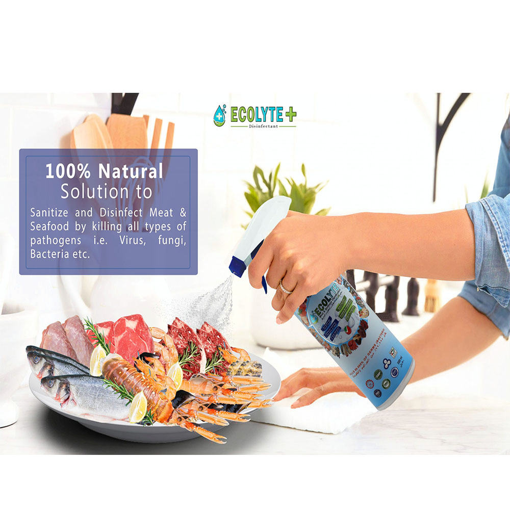 Ecolyte Meat & Seafood Disinfectant 100% Natural 500 ml X 24PCS_6