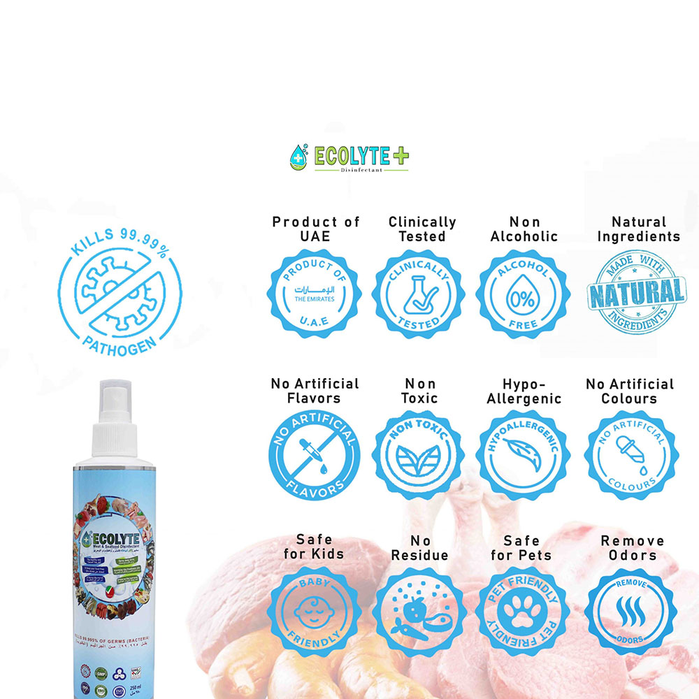 ECOLYTE MEAT AND SEAFOOD DISINFECTANT 250ML (NATURAL SPRAY DISINFECTANT-32PCS/CARTON)_4