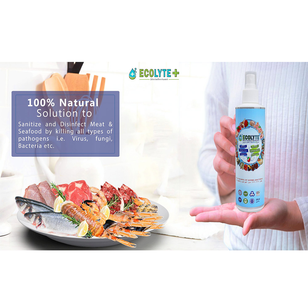 ECOLYTE MEAT AND SEAFOOD DISINFECTANT 250ML (NATURAL SPRAY DISINFECTANT-32PCS/CARTON)_6