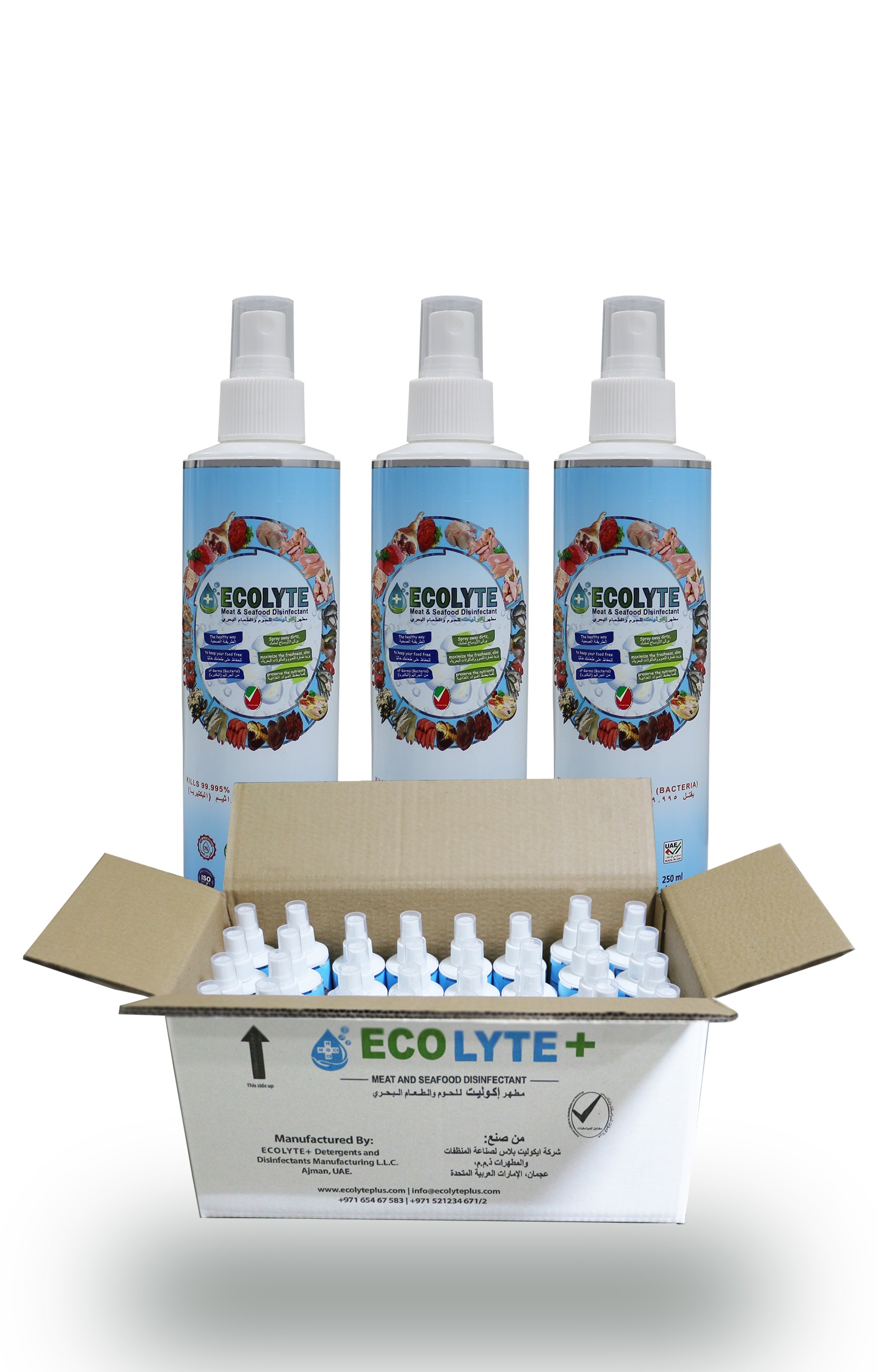 Ecolyte meat and seafood disinfectant 250ml (natural spray disinfectant-32pcs/carton)