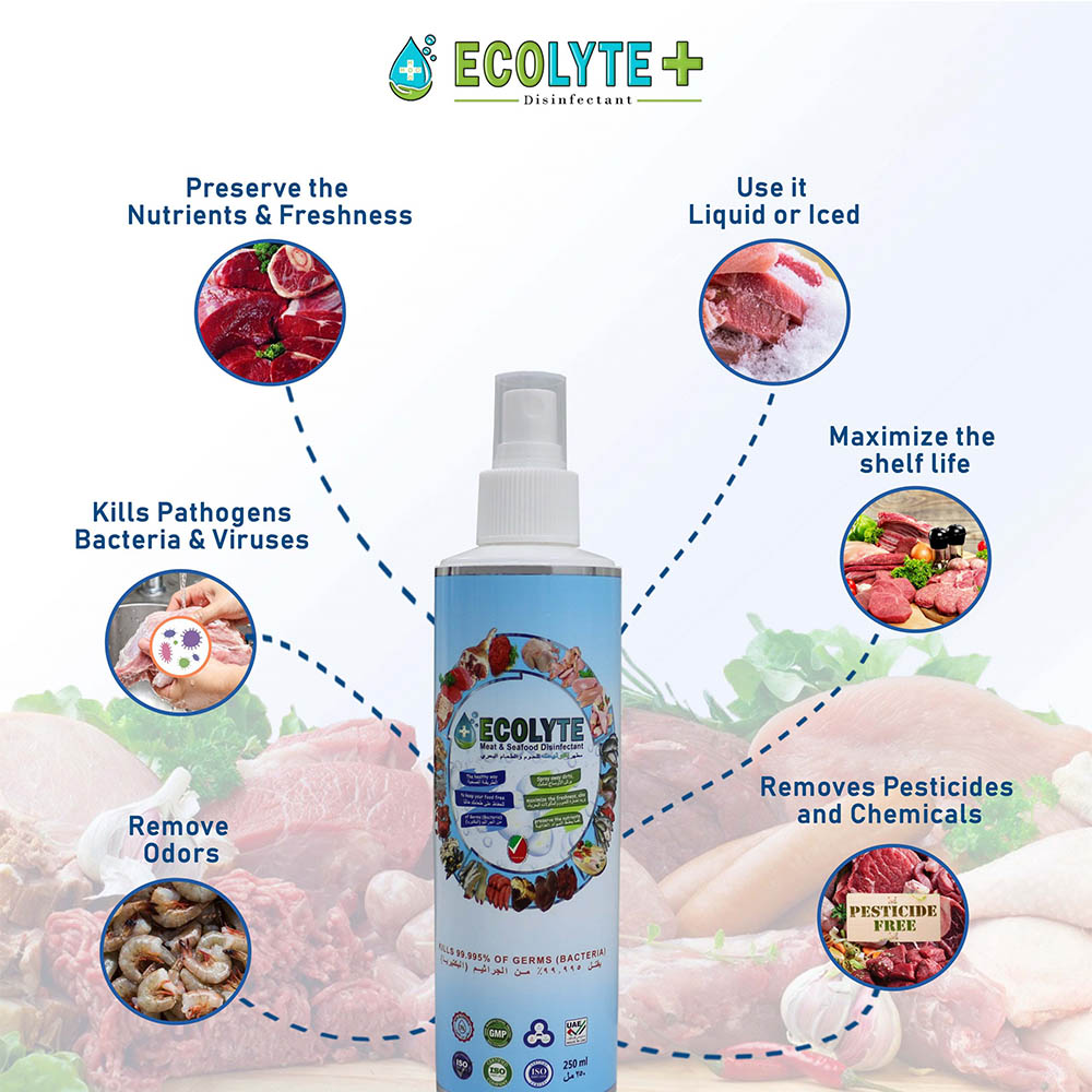 ECOLYTE MEAT AND SEAFOOD DISINFECTANT 250ML (NATURAL SPRAY DISINFECTANT-32PCS/CARTON)_5