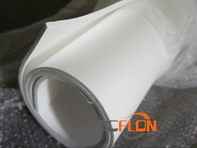 Expanded ptfe sheet