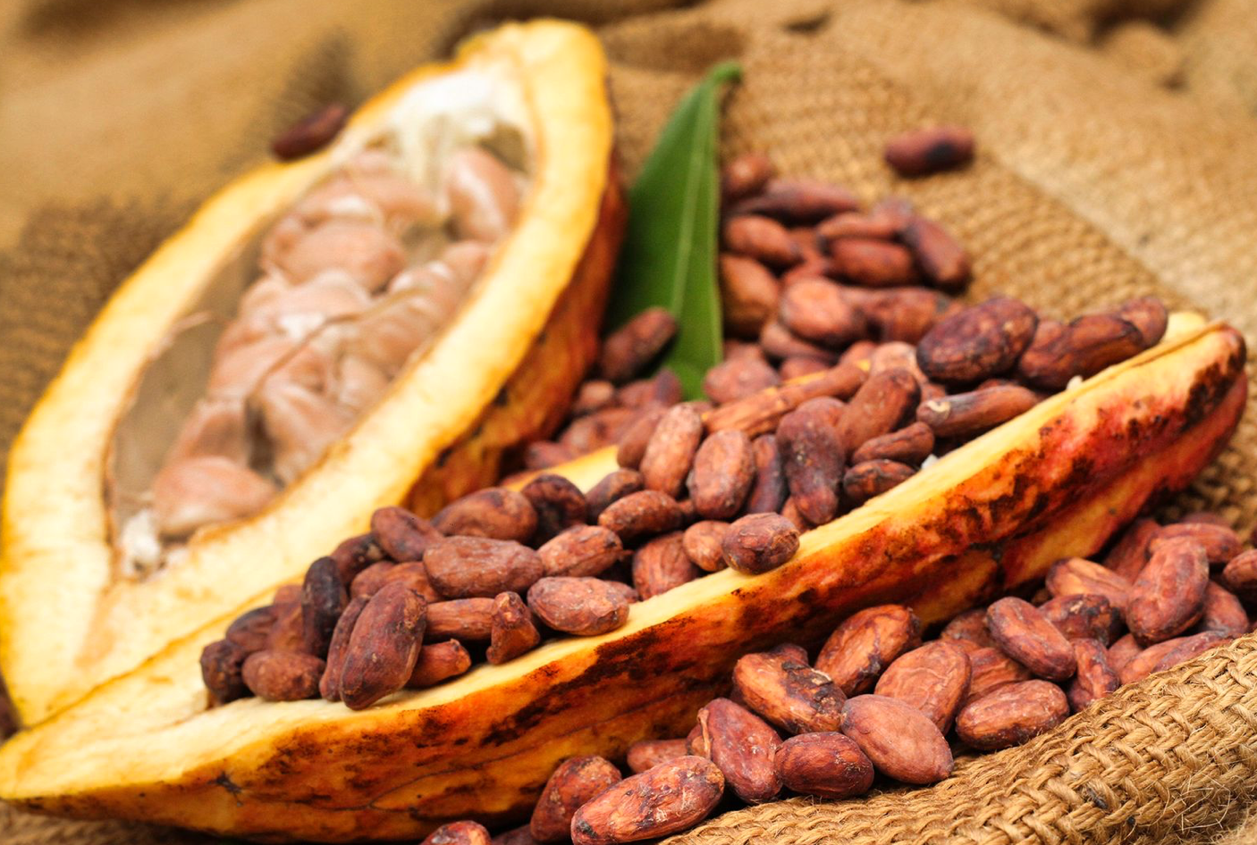 We are leading supplier, exporter of cocoa product from africa ,ivory coast ,ghana ,