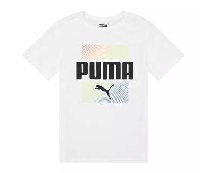 Wholesale puma graphic tee for boys