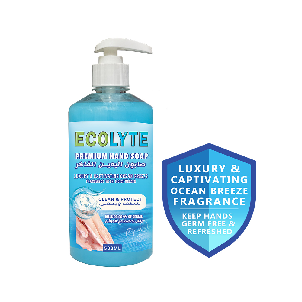 Ecolyte premium handwash ocean breeze 500ml with pump bottle-1pcs