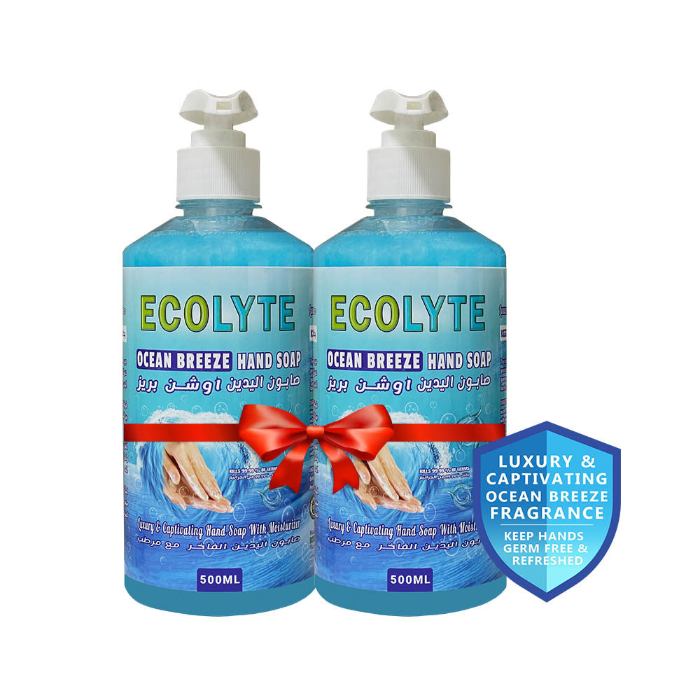 Ecolyte premium handwash ocean breeze 500ml with pump bottle-2pcs