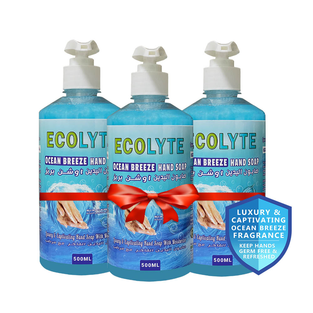 Ecolyte premium handwash ocean breeze 500ml with pump bottle-3pcs