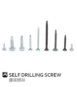 Self drilling screw