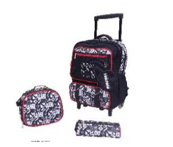 Wholesale wires backpack trolley 24371