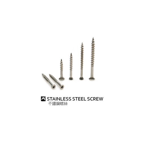 Stainless Steel Screw