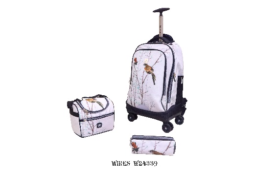 Wholesale school bag wires 4 wheels trolley 19&#34; with lunch bag pencil case