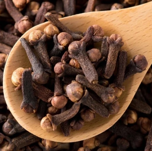 Premium dried clove: herbal spices