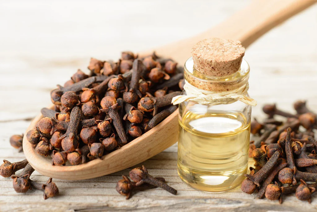 Jaring indo perkasa: natural clove oil