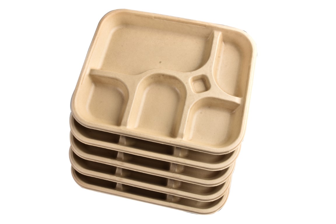 Chuk 5 compartment meal tray, eco-friendly sugarcane bagasse disposable plates,500 pcs