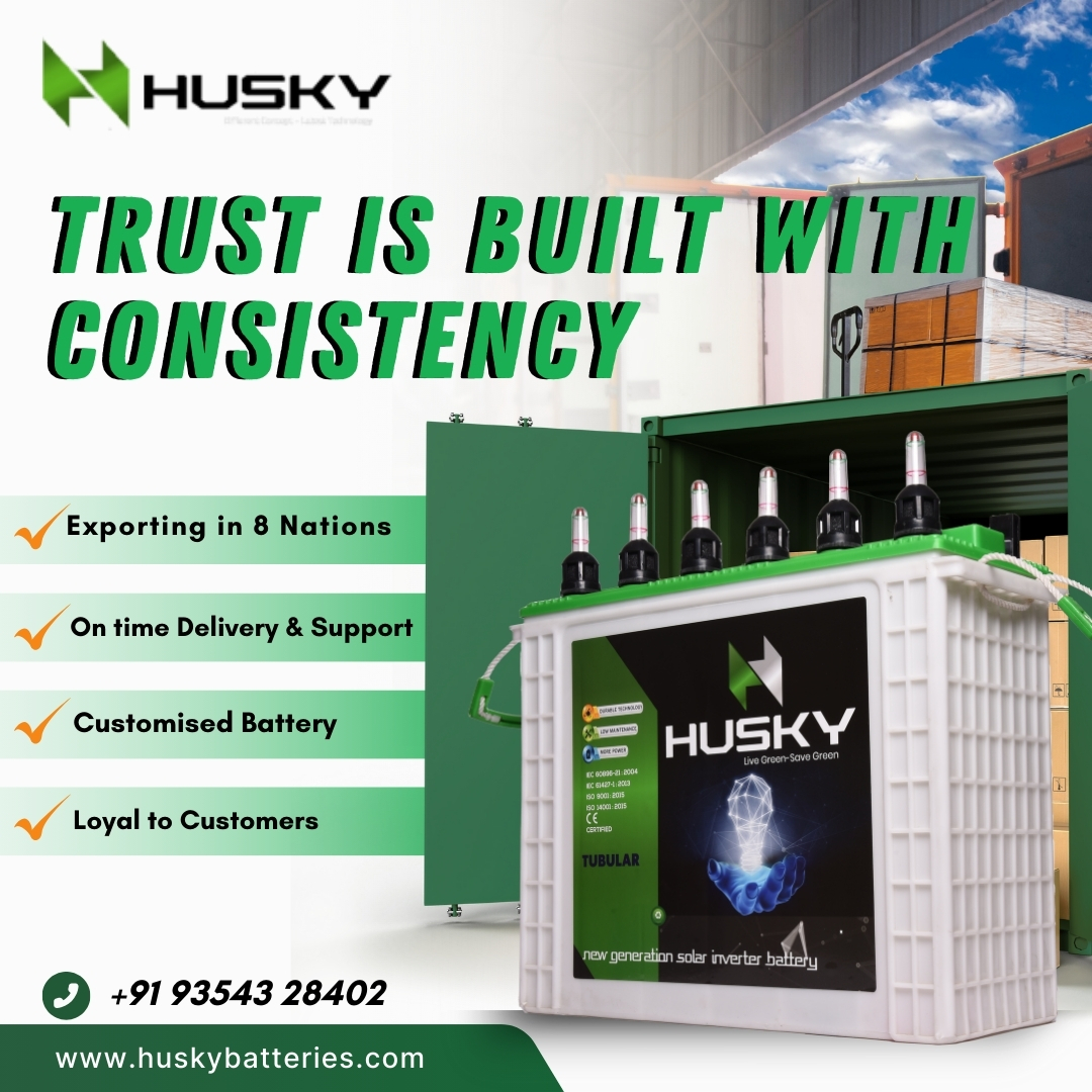 Husky tall tubular battery