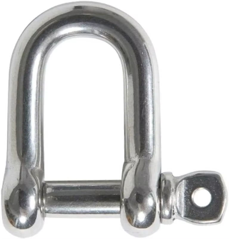Good Quality SS316 Or SS304 EU Type D Type Shackle for lifting_4