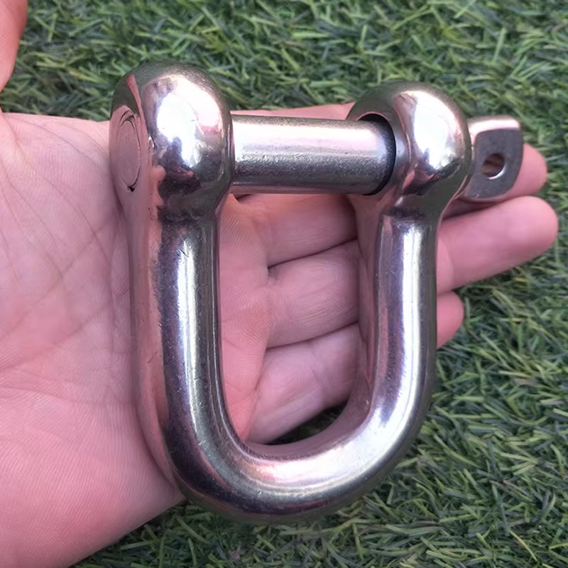 Good Quality SS316 Or SS304 EU Type D Type Shackle for lifting_3