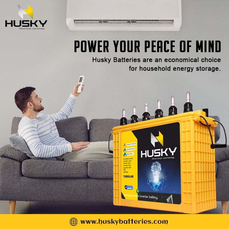 Husky tall tubular battery