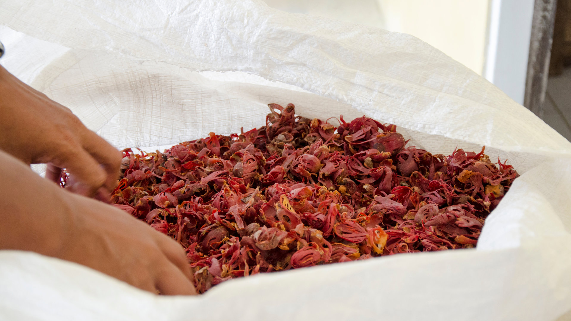 Mace spices