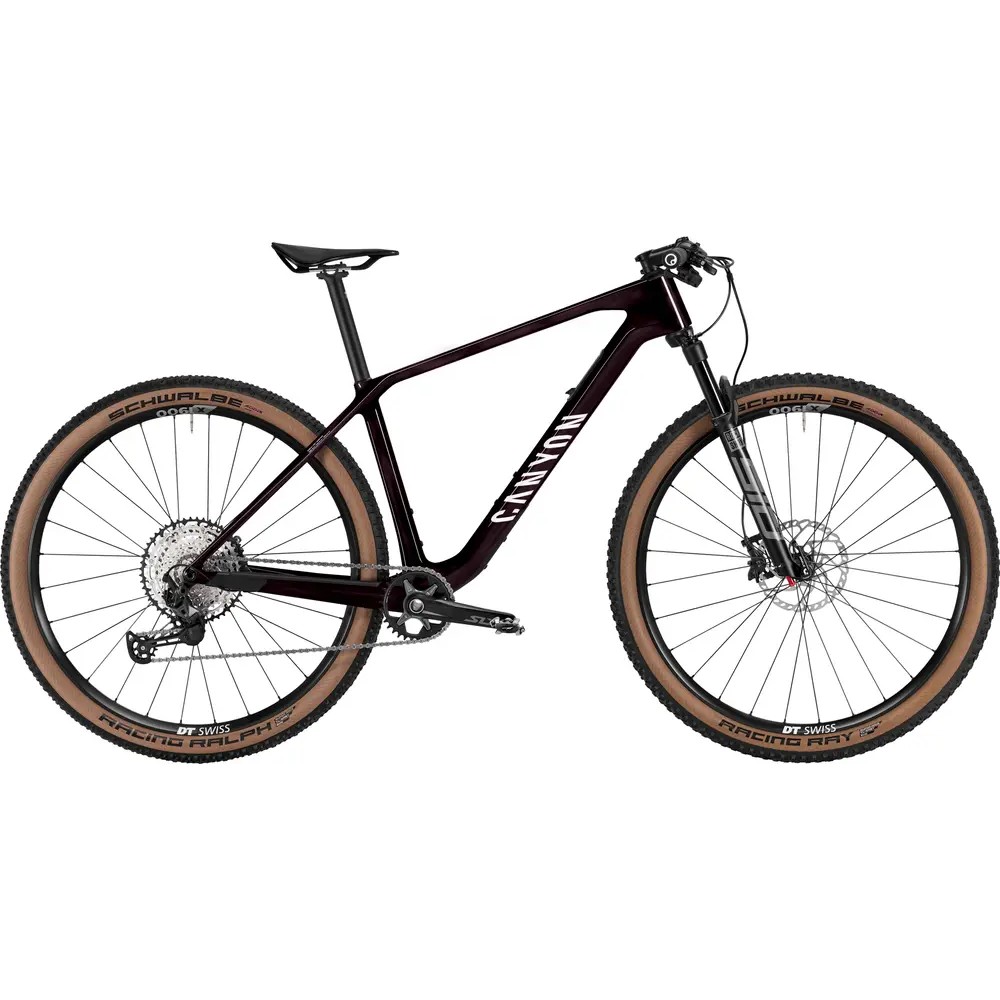 2025 canyon exceed cf 6 mountain bike (zonacycles)