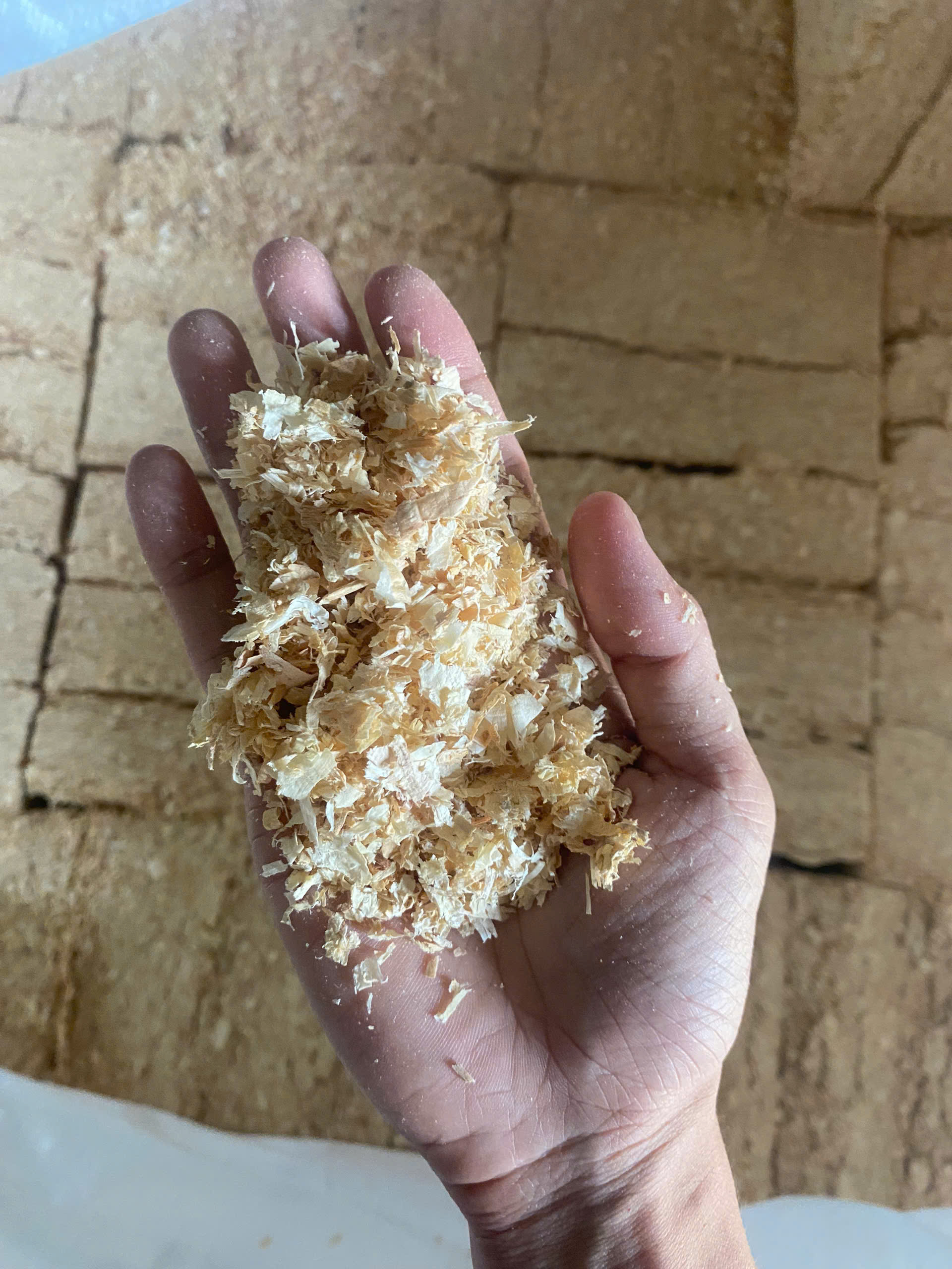 Wood shavings