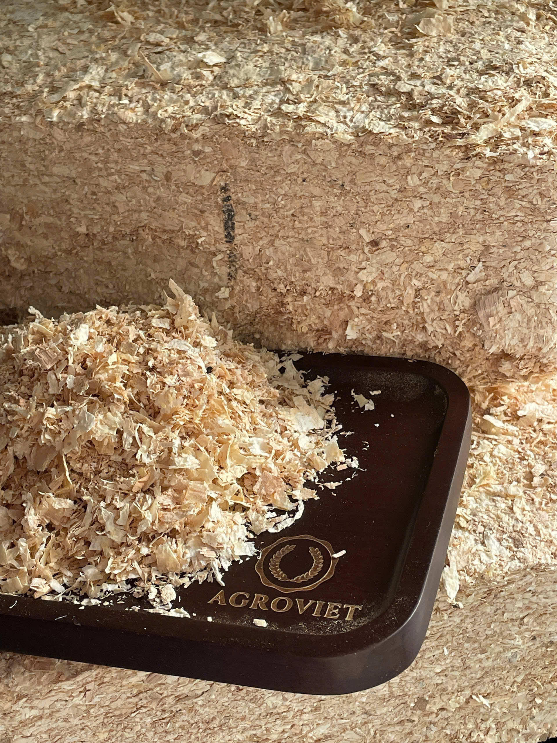 Wood Shavings_7