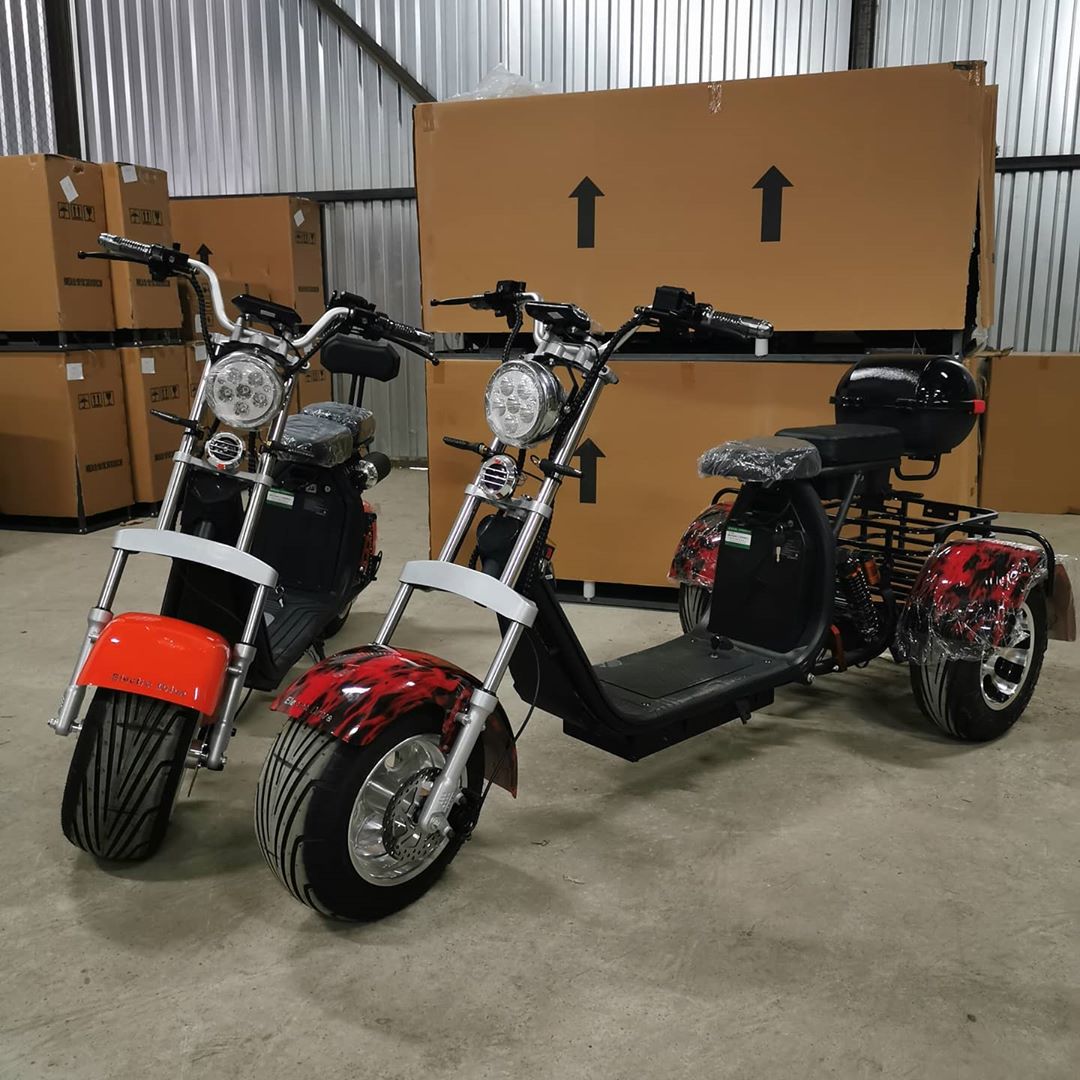 Unmatched 3000w peak power: citycoco electric scooter