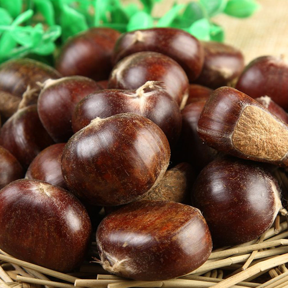 Sweet and Fragrant Chestnuts