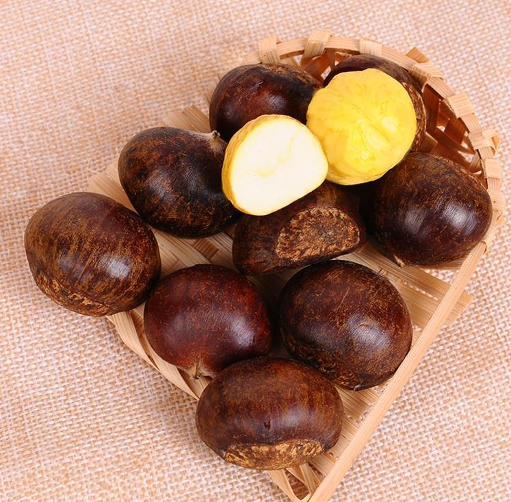 Sweet and Fragrant Chestnut