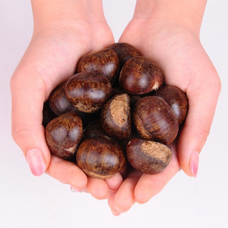 الكستناء الحلوي والملائحة_2