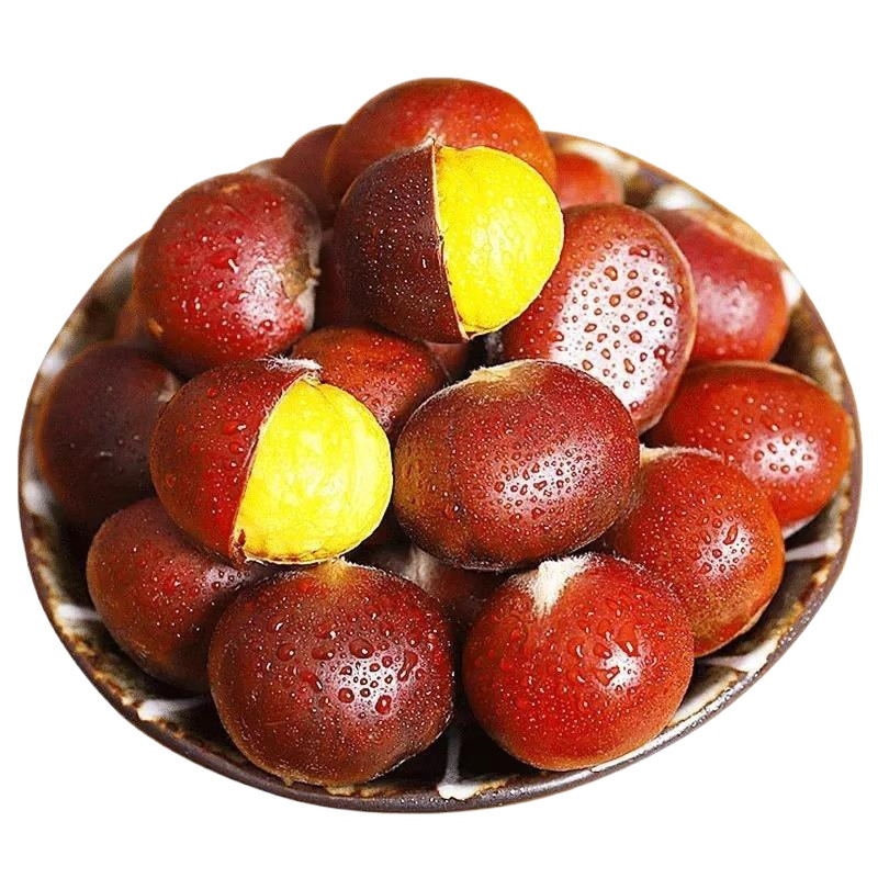 الكستناء الحلوي والملائحة_2