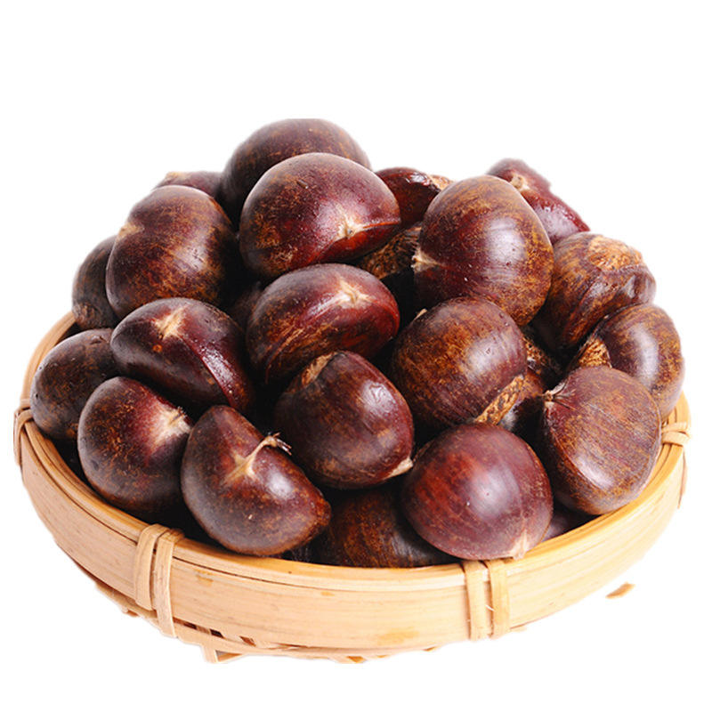 Sweet and Fragrant Chestnut_2