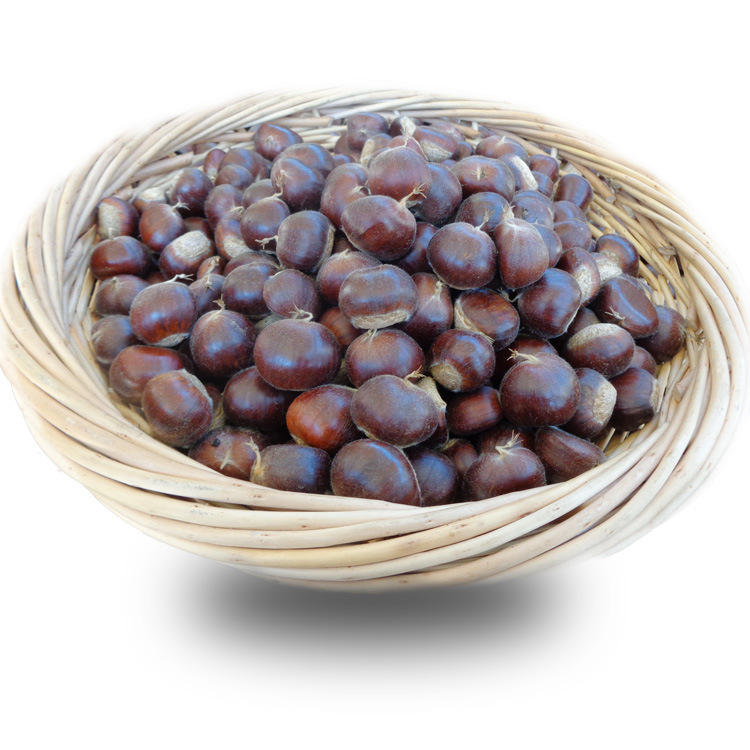 Sweet and Fragrant Chestnut_2