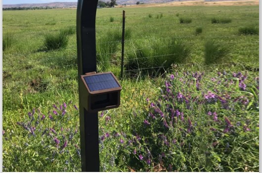 Home security intrusion alert wireless outdoor anti-theft alarm perimeter security intrusion detection system_11