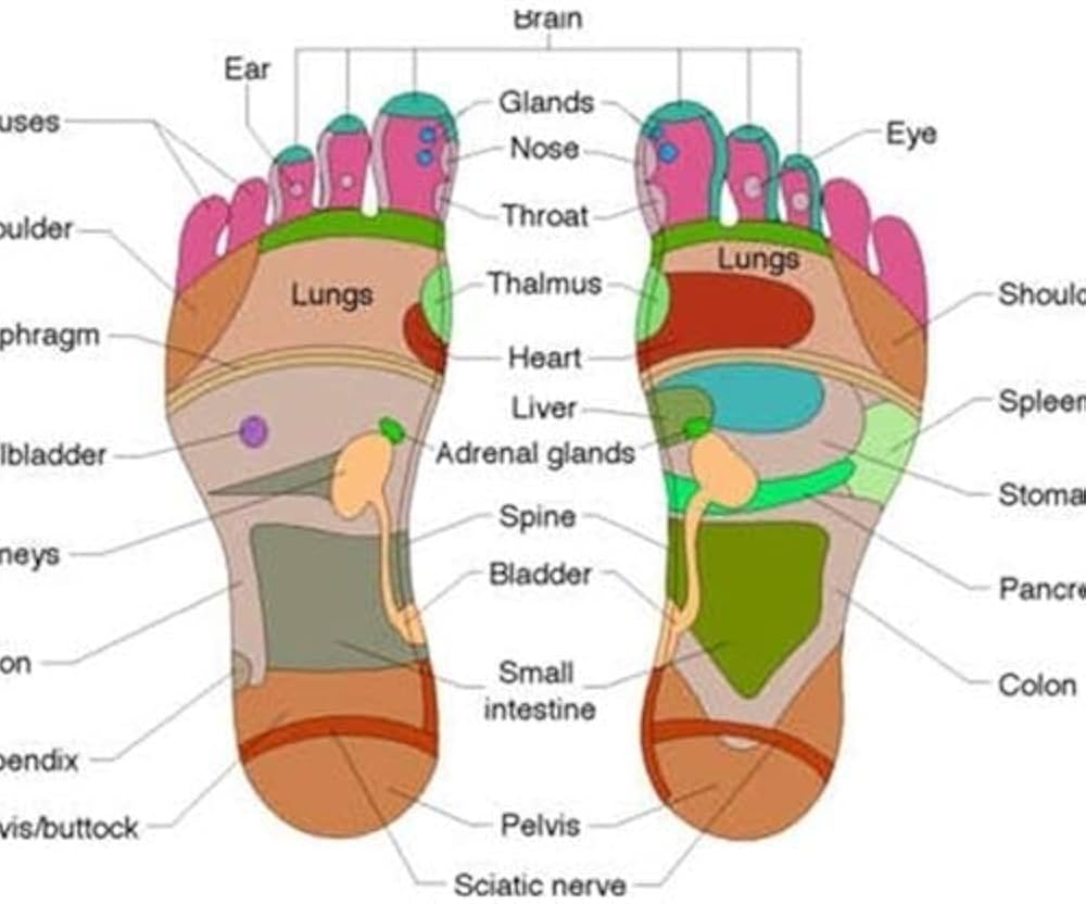 Kinoki Detox Foot Pads – Herbal Cleansing Patches for Toxin Removal &#38;#38;#38; Relaxation_5