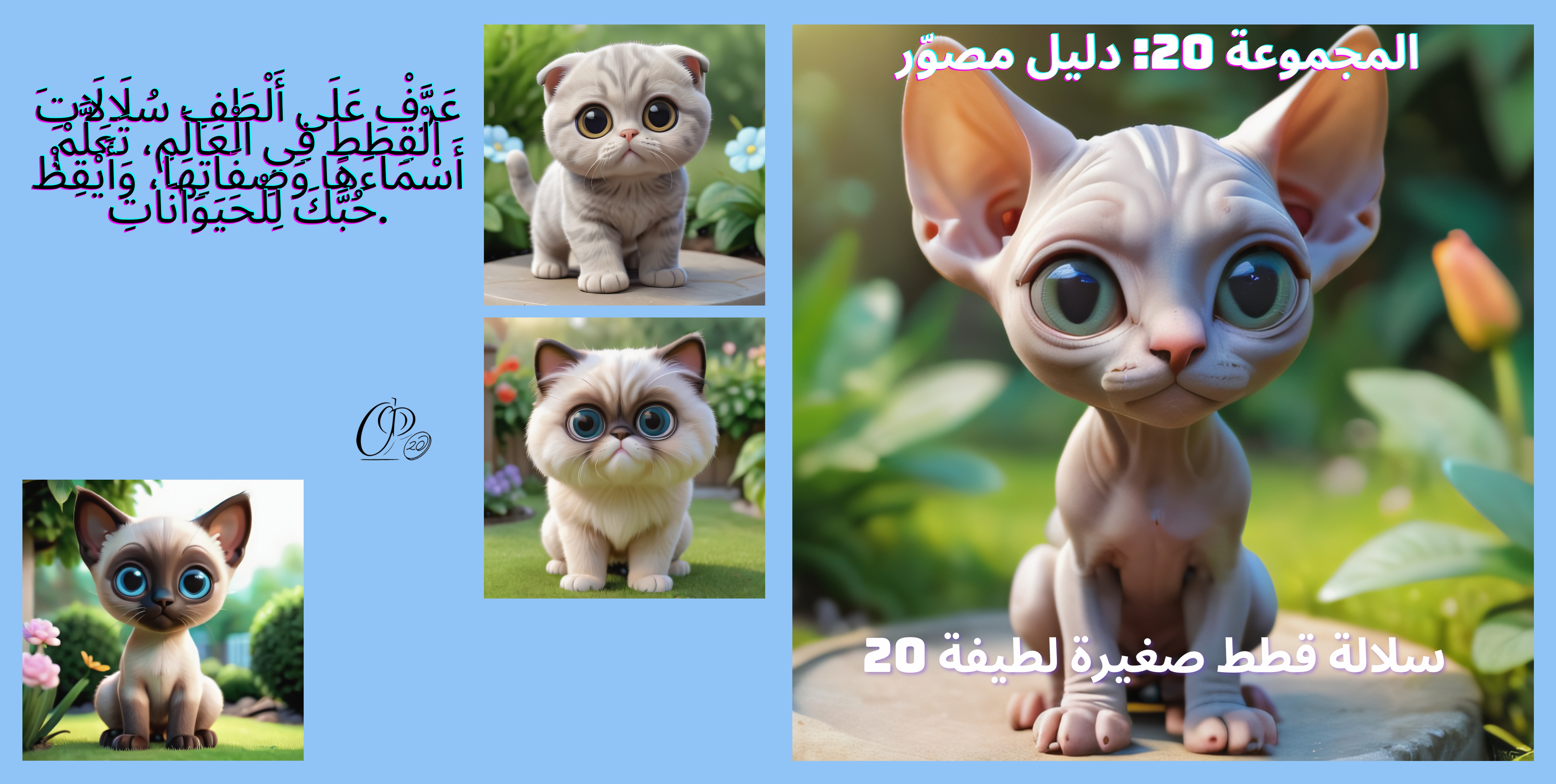 المجموعة 20: دليل مصوَّر / 20 سلالة من القطط الصغيرة الظريفة_2