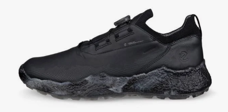 Ecco Biom H5_3