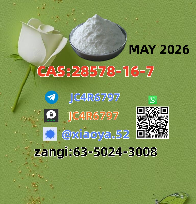 BMK CAS 5449-12-7 supporting PMK CAS 28578-16-7 stock_3