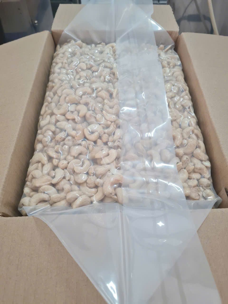Cashew Nuts WW320_3