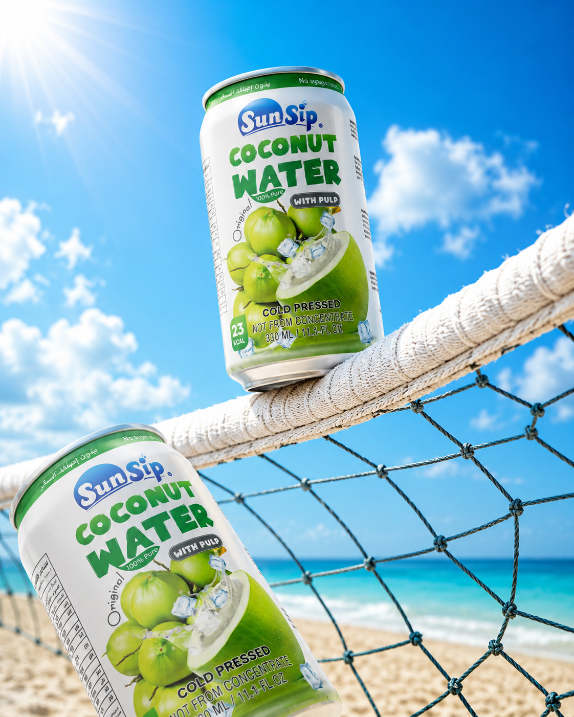 The best OEM/ODM manufacturer 100% coconut water from viet nam_2