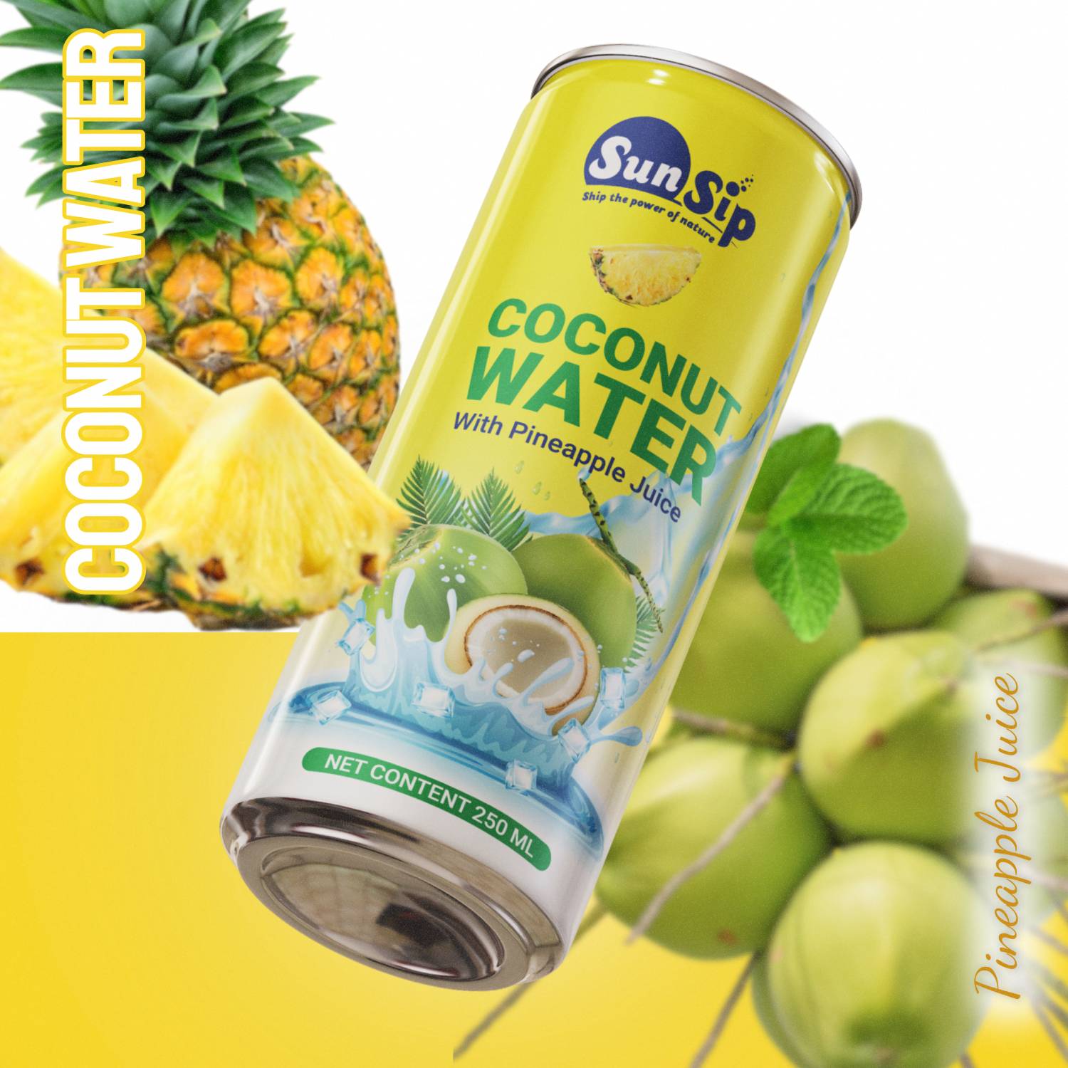 SunSip Coconut Water with Pineapple Juice 250ml  OEM ODM Private Label_4