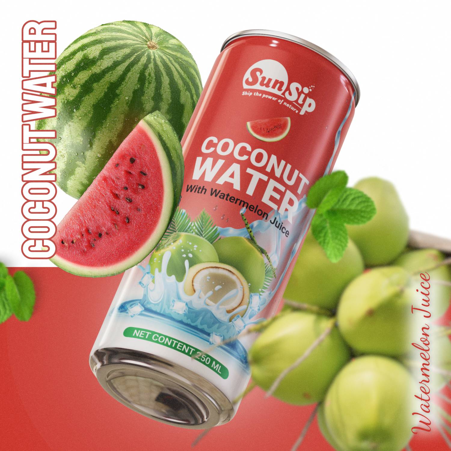 SunSip Coconut Water with Pineapple Juice 250ml  OEM ODM Private Label_3